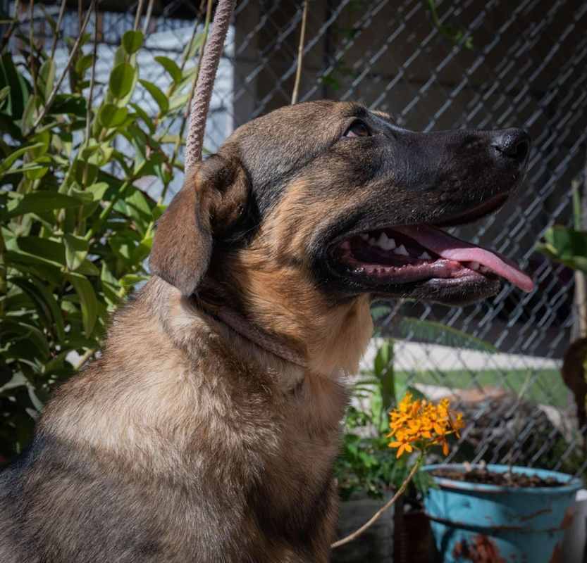 Photo of CHURRO #image
