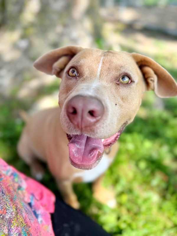 Photo of Helios #image