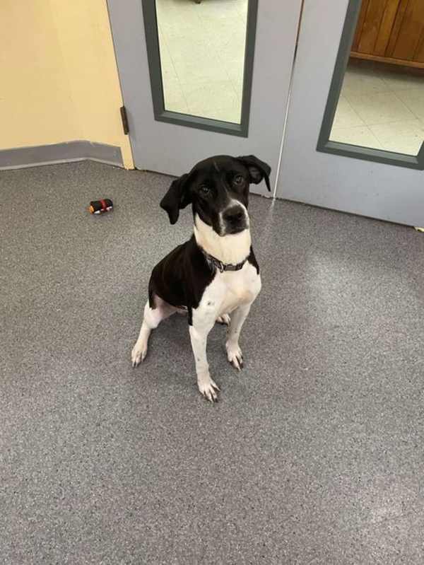 Photo of Luna #image