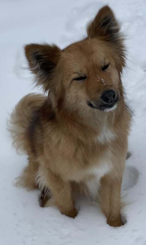 Photo of Susie #image