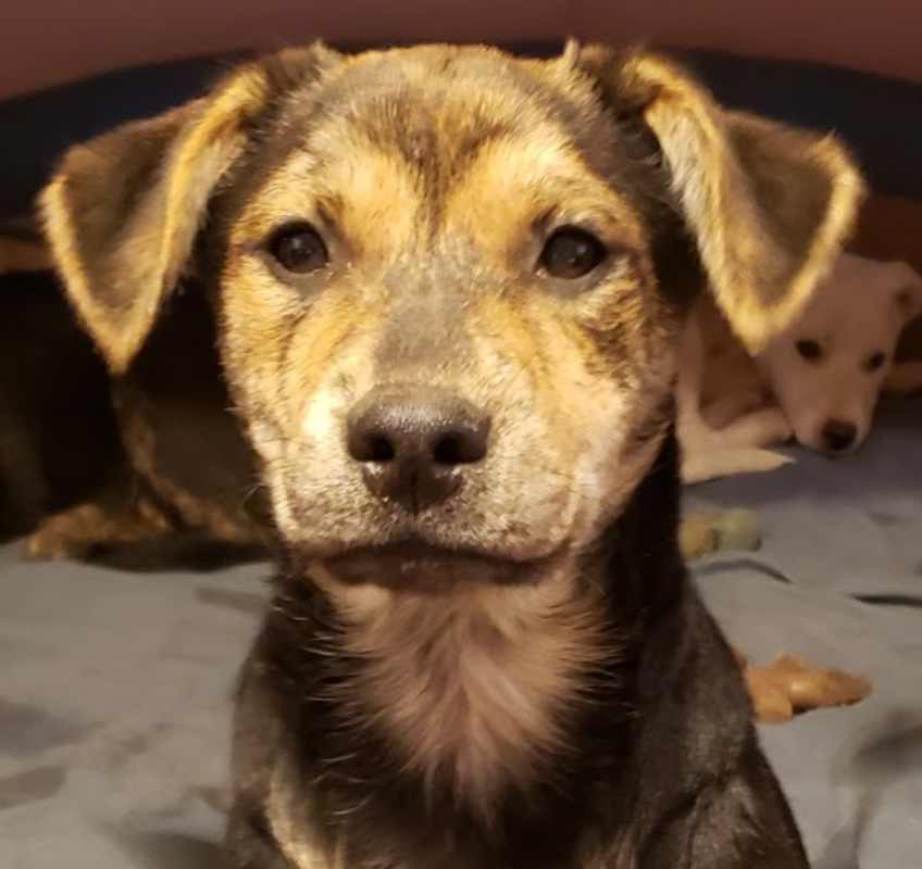 Photo of Ellie #image