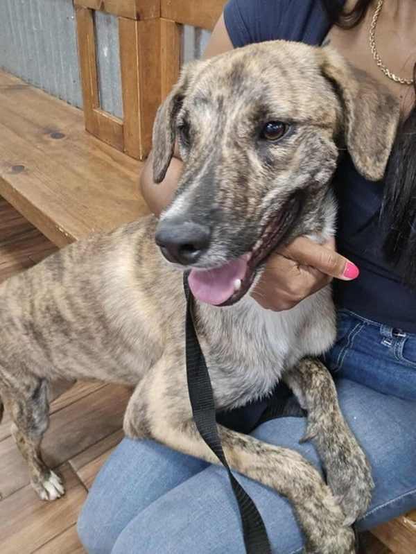 Photo of Glen (TX) #image