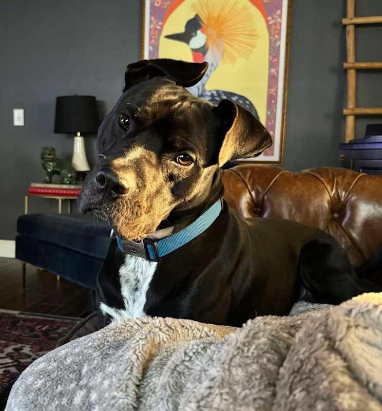 Photo of Smokey Bear #image