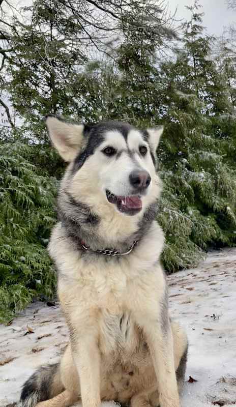 Photo of Emma #image