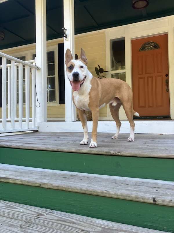 Photo of Zeus #image