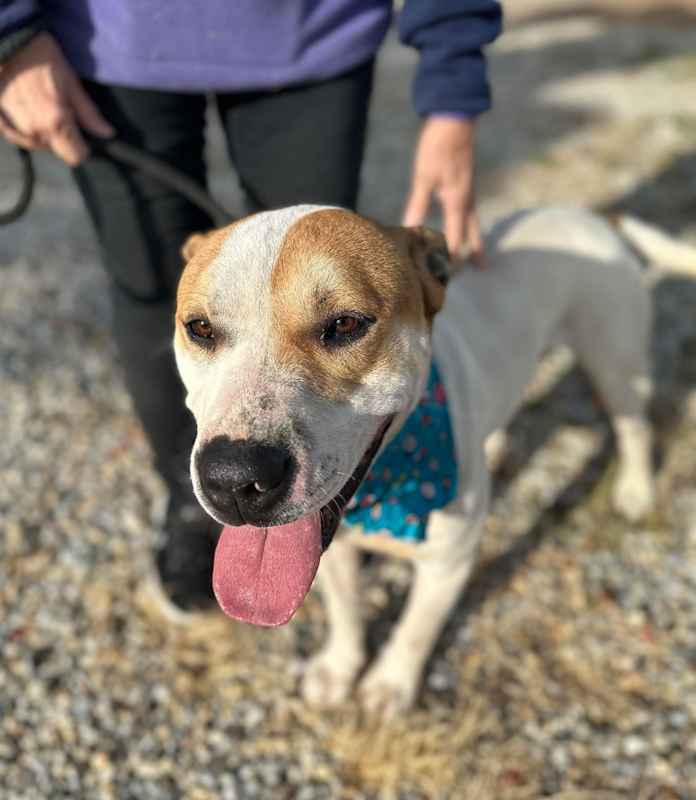 Photo of LUKE #image