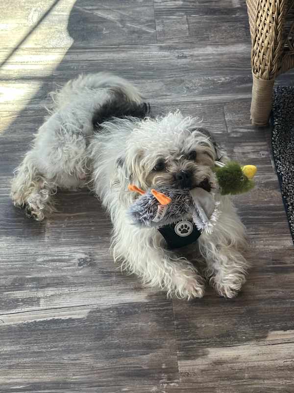 Photo of CAGNEY #image