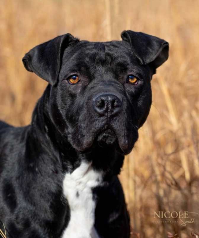 Photo of Jasper #image