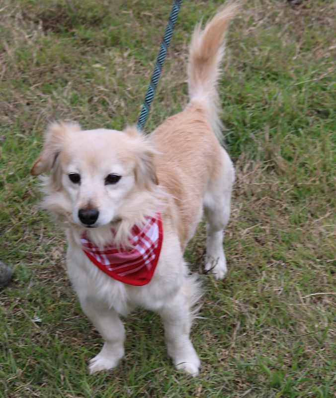Photo of Shaggy #image