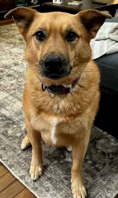 Photo of SPECIAL STELLA #image