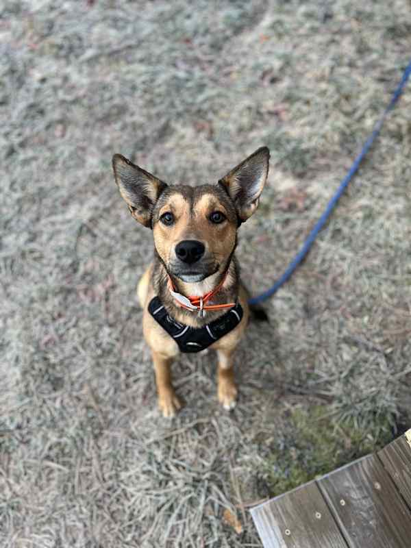 Photo of Elphie #image