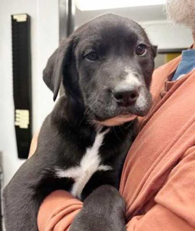 Photo of Randall is RIDICULOUSLY SWEET! #image