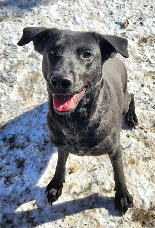 Photo of Salem #image