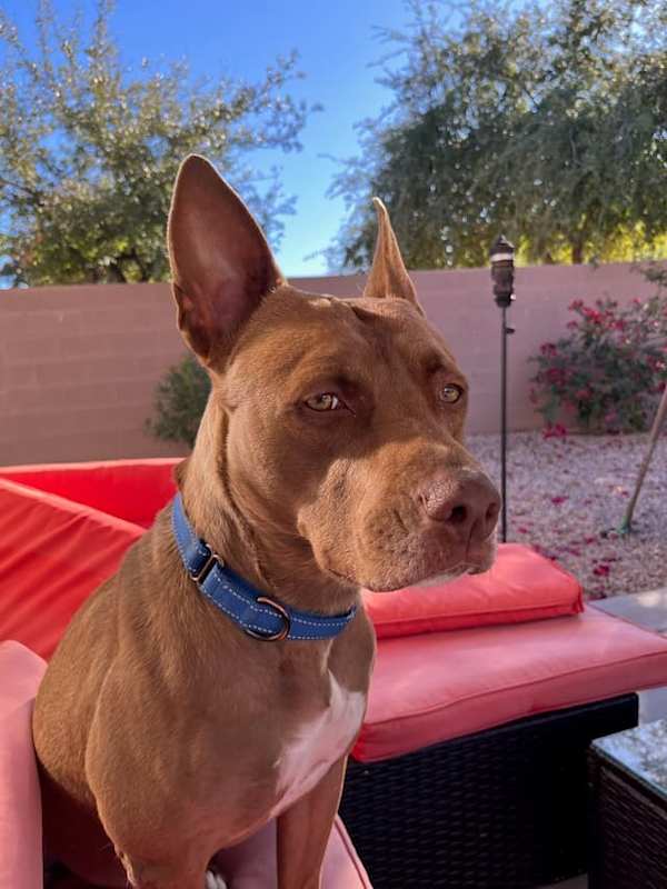 Photo of Molly #image