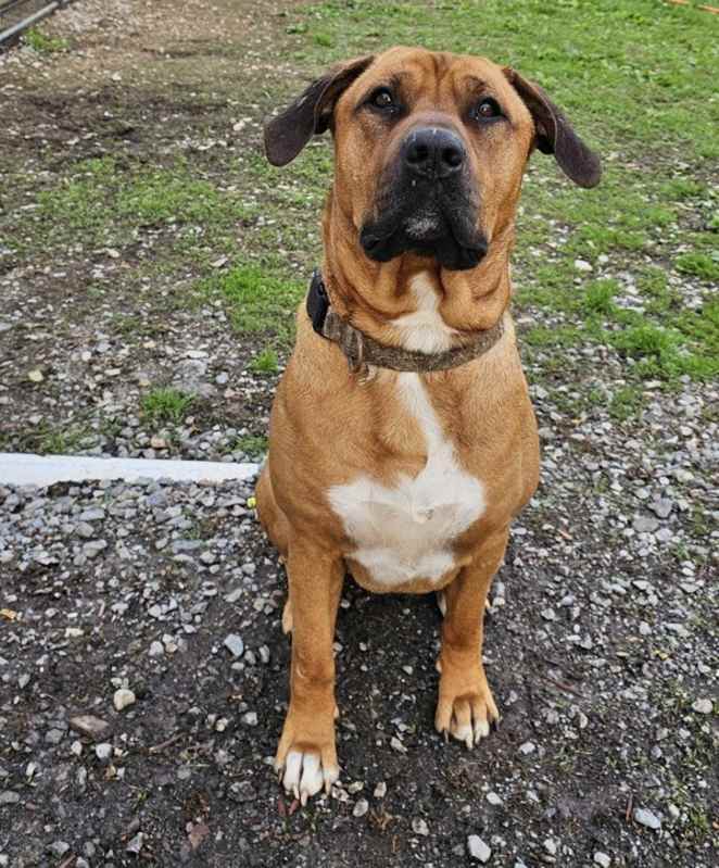 Photo of Zeus #image