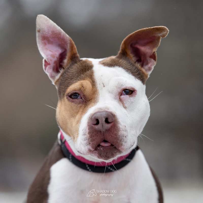 Photo of Cherry Cola Lola #image
