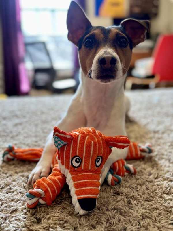 Photo of King #image