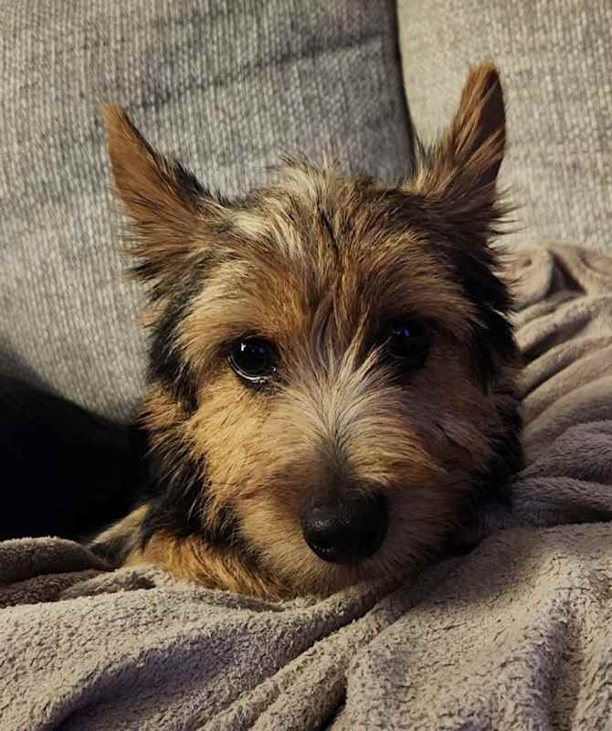 Photo of Gadget #image