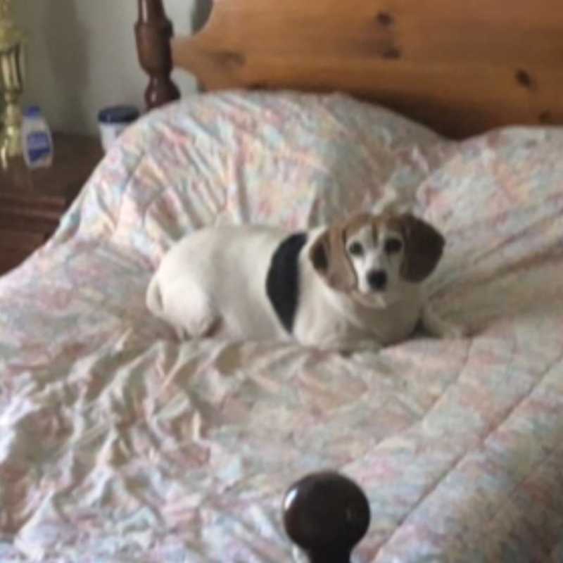 Photo of Jamie -MISSING #image