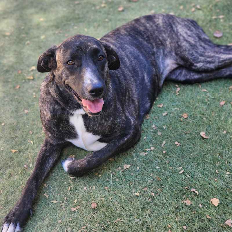 Photo of Blanche #image