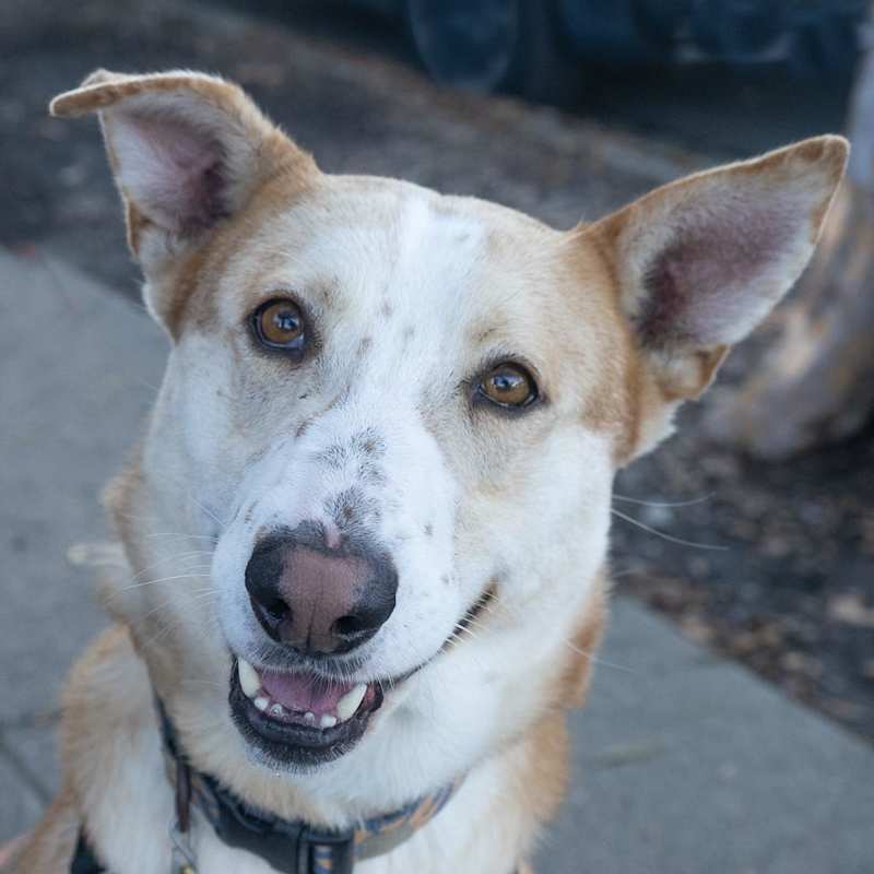 Photo of TUCK #image