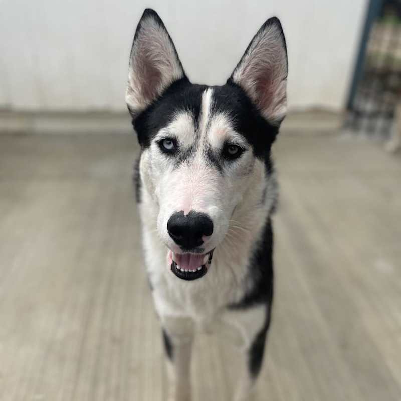 Photo of Zeus #image