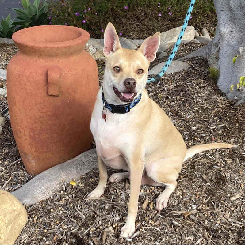 Photo of Holiday (AKA Doc) #image