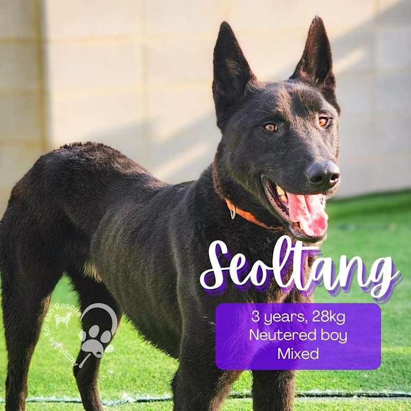 Photo of Seoltang #image