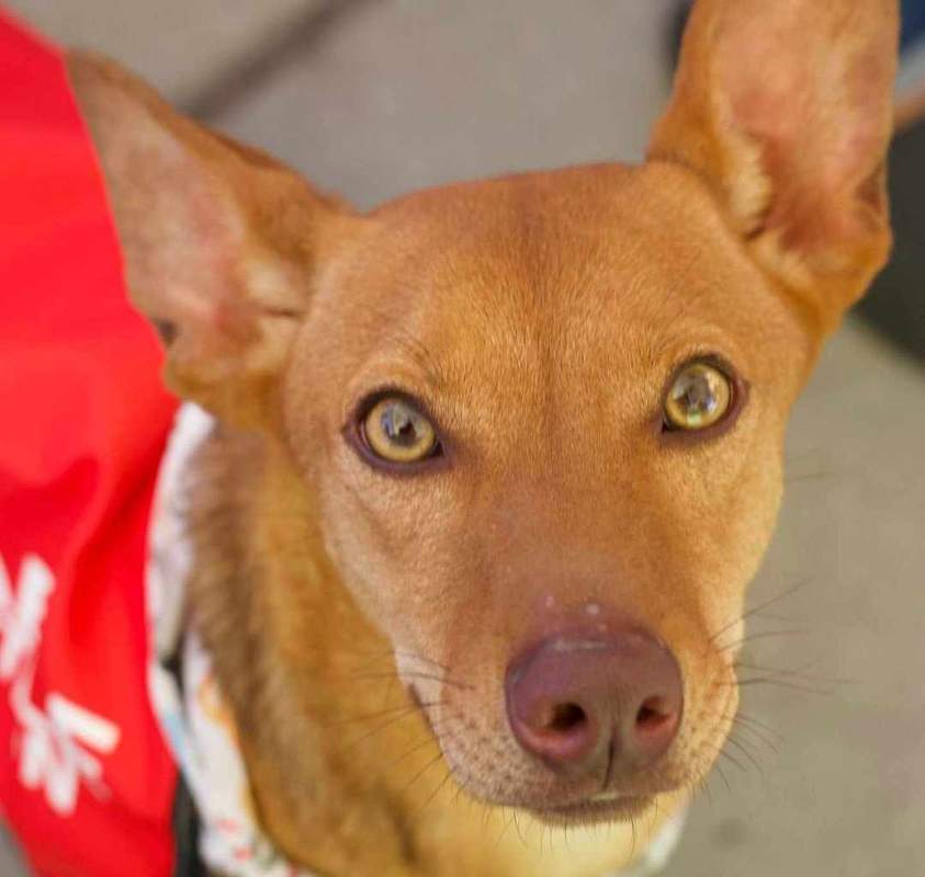 Photo of Ojitos-Beautiful eyes #image