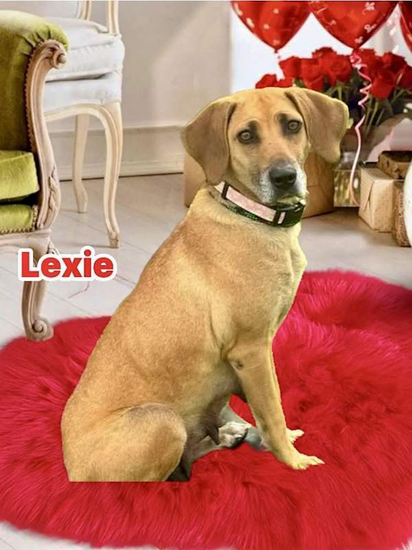 Photo of Lexie #image