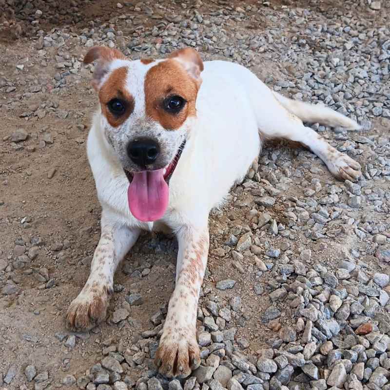 Photo of Lilly #image