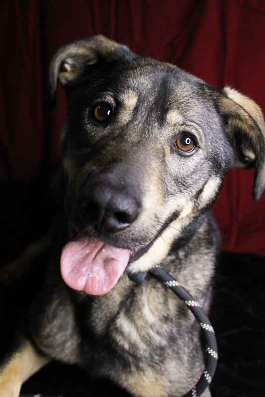 Photo of Axton #image
