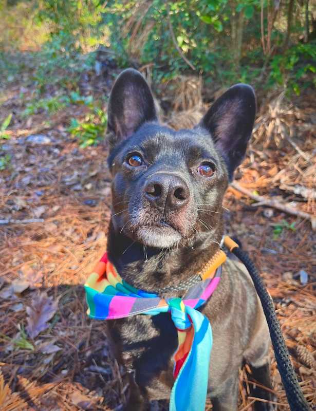 Photo of Johnny Cash #image