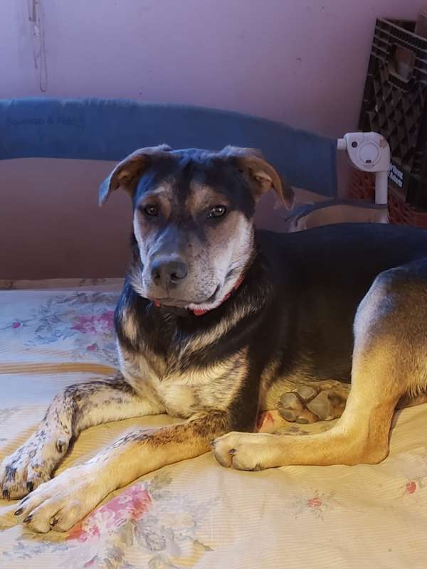 Photo of Timmy #image