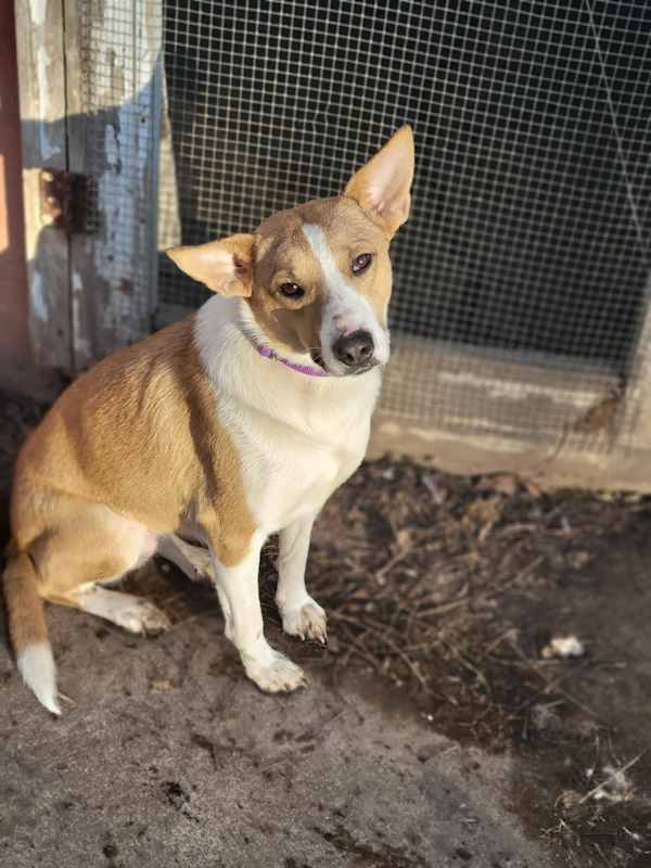 Photo of Chloe #image