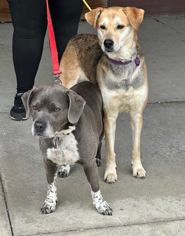 Photo of Bubba & Sandy #image