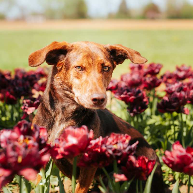 Photo of Anna #image