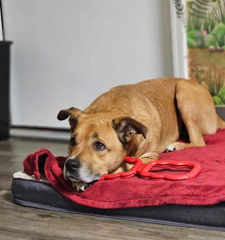 Photo of Walter #image