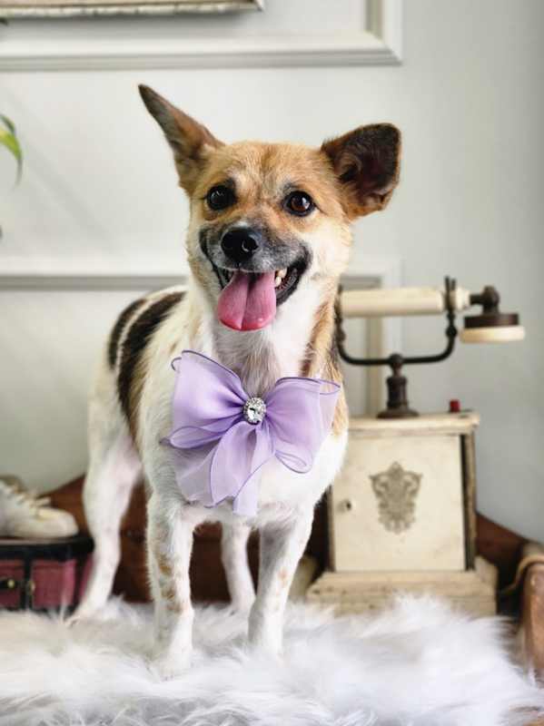 Photo of Liel #image