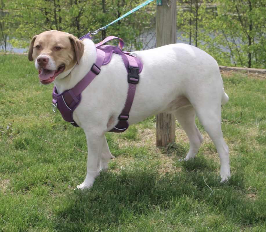 Photo of Finnigan #image