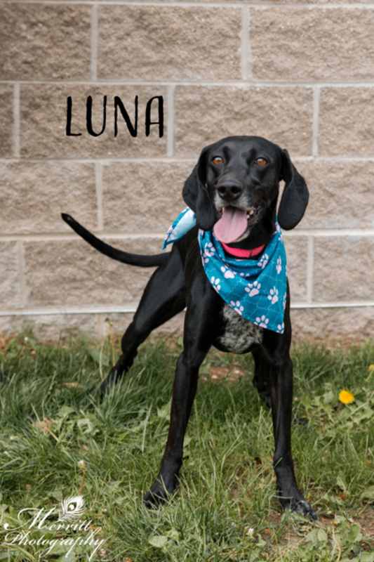 Photo of Luna #image