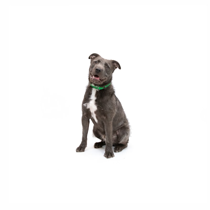 Photo of Marty #image