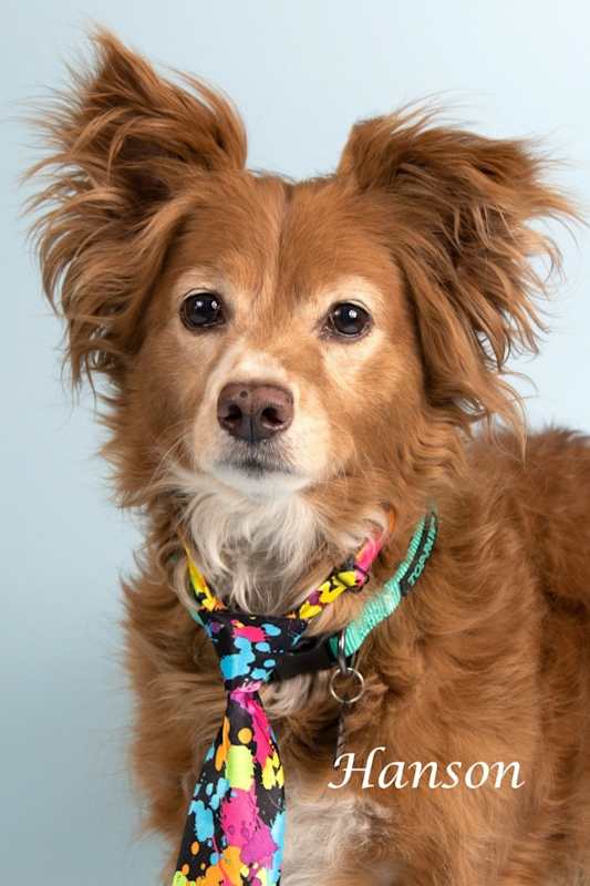 Photo of Hanson (Rusty) #image