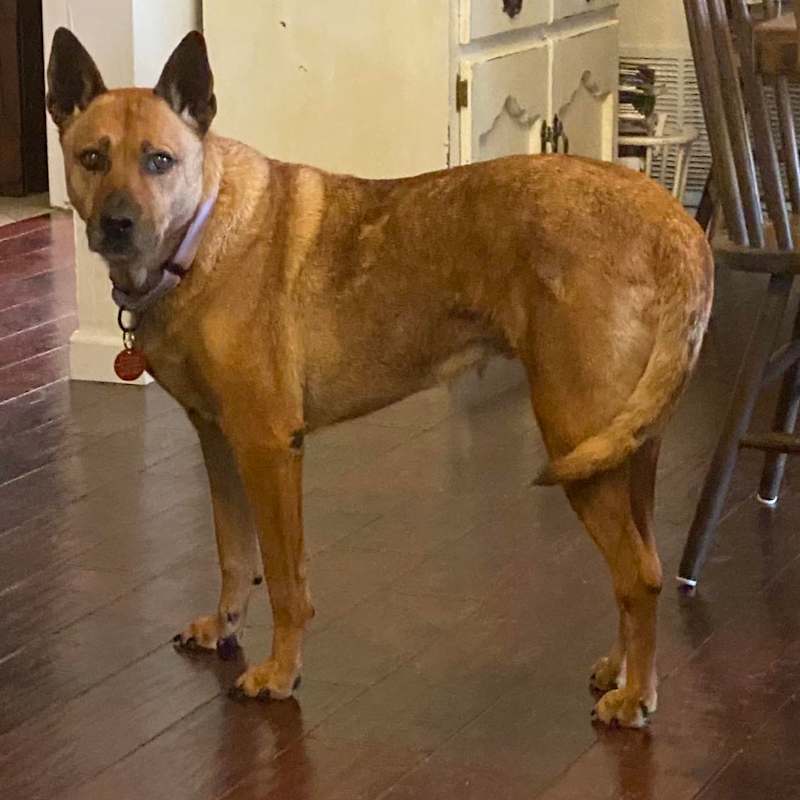 Photo of Sydney #image