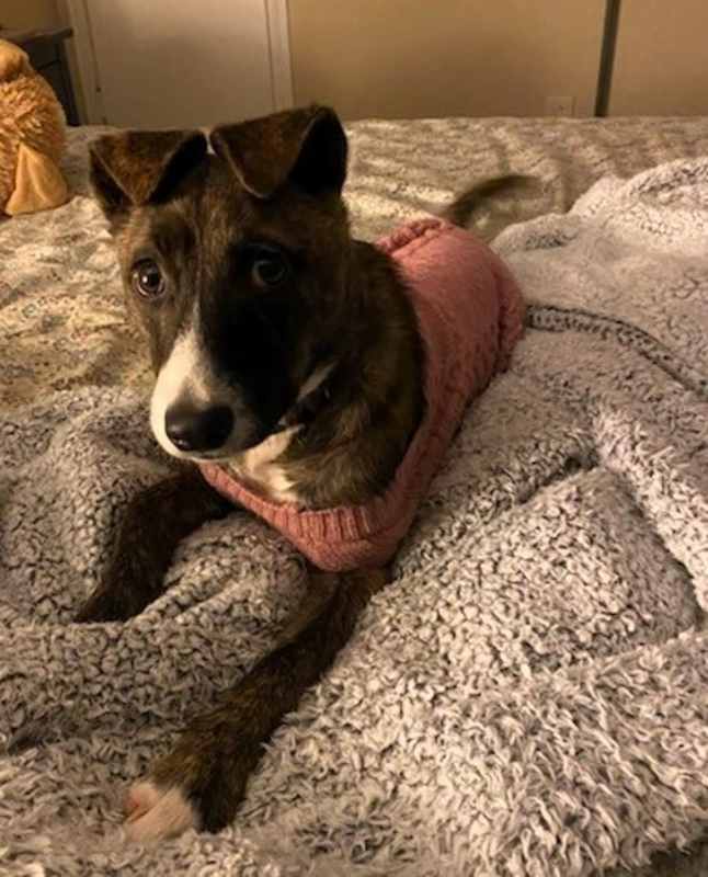 Photo of Jade #image