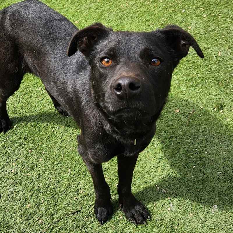 Photo of Stuart JuM* #image