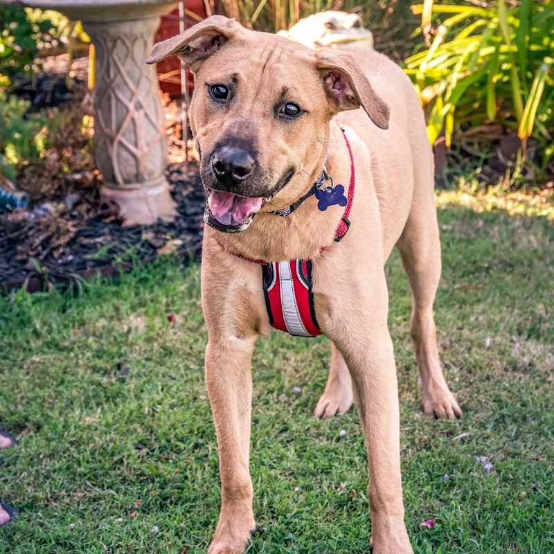 Photo of Hutch B113 #image