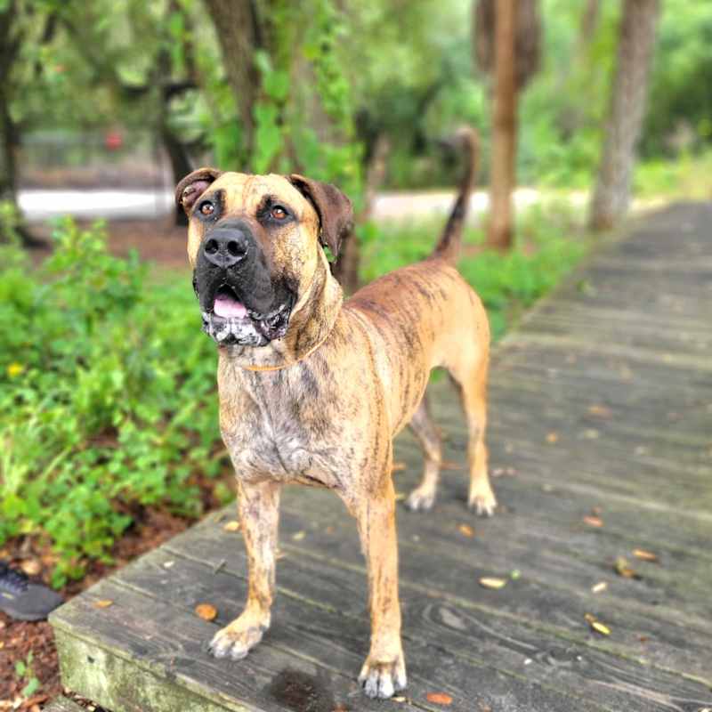 Photo of Knox #image