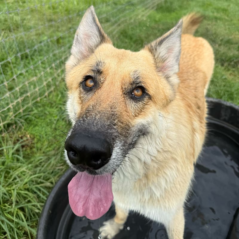 Photo of Sonny #image