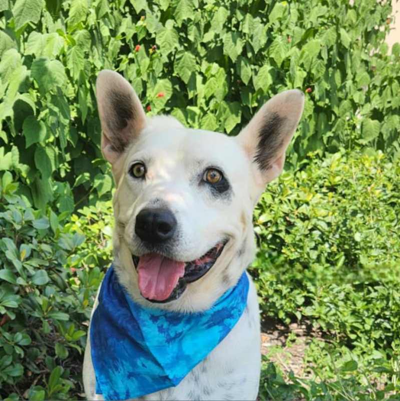 Photo of Harley JuM #image